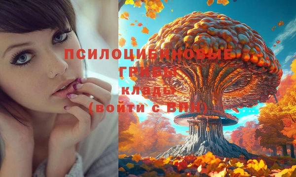 мяу мяу мука Белоозёрский