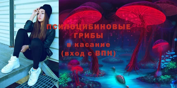 МДМА Белокуриха